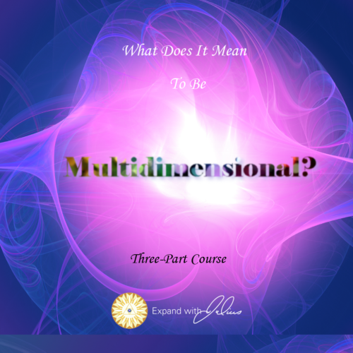 What Does It Mean To Be Multi-Dimensional? | Expand with Julius and Xpnsion Network