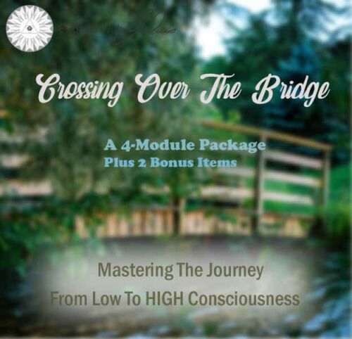 Crossing Over the Bridge | Expand with Julius and Xpnsion Network