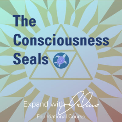 The Consciousness Seals (Foundation Class) | Expand with Julius and Xpnsion Network