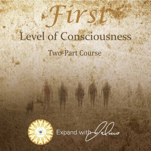 First Level Of Consciousness | Expand with Julius and Xpnsion Network
