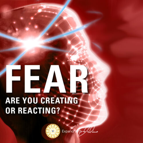 Fear | Expand with Julius and Xpnsion Network