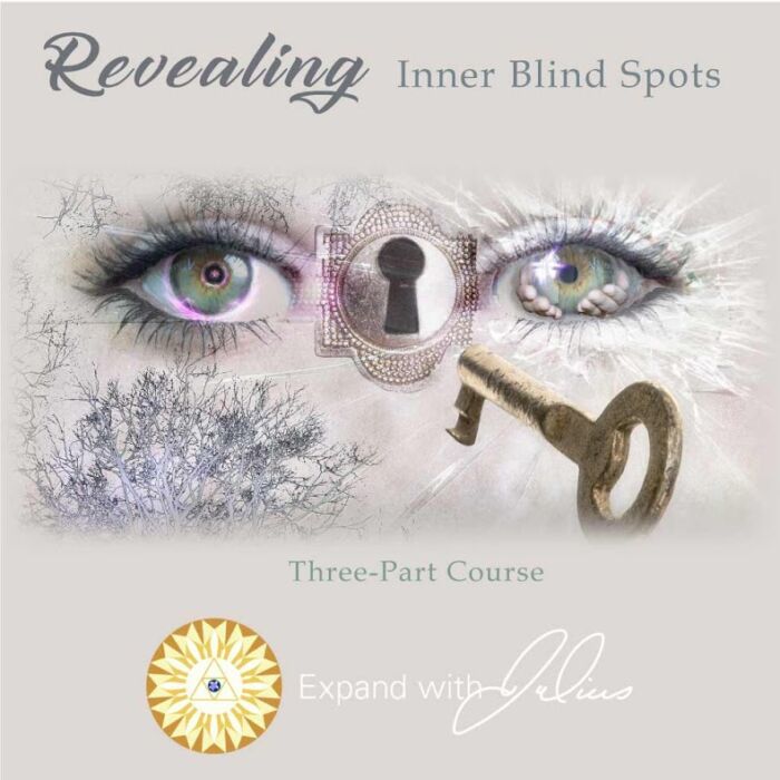 Revealing Inner Blind Spots | Expand with Julius and Xpnsion Network