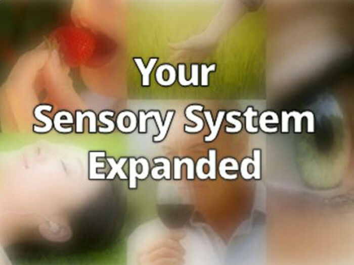 Your Sensory System Expanded | Expand with Julius and Xpnsion Network