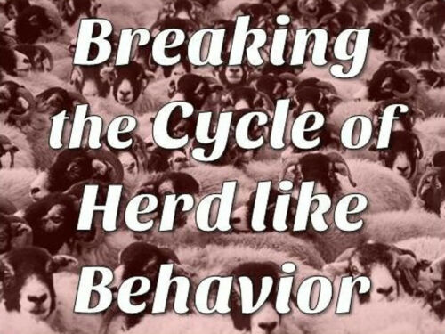 Breaking The Cycle Of Herd Like Behavior | Expand with Julius and Xpnsion Network