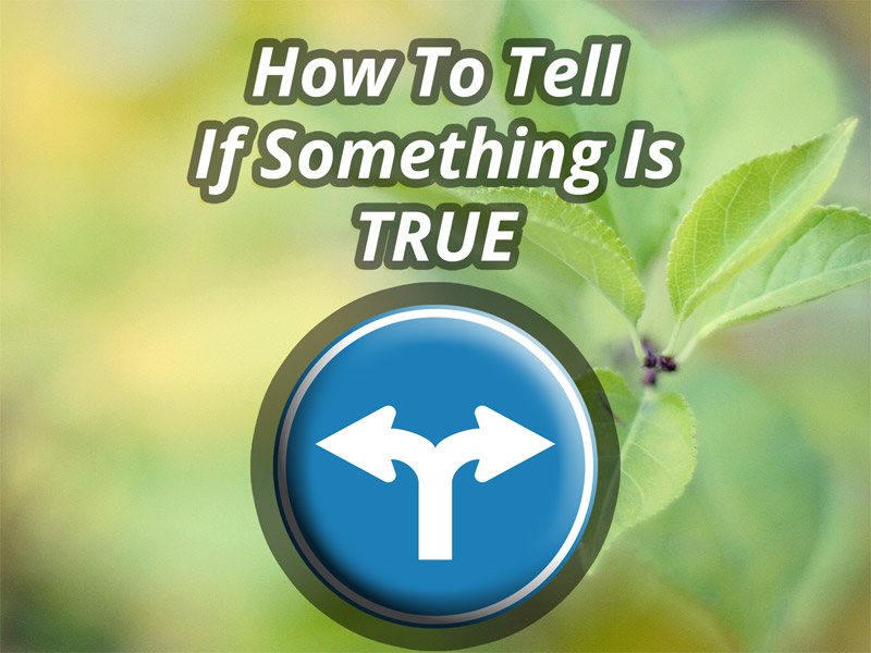 How To Tell If Something Is True | Expand with Julius and Xpnsion Network