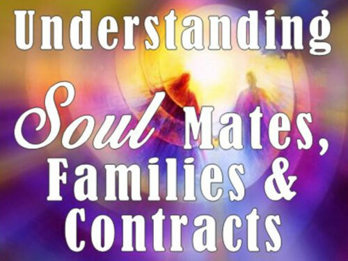Understanding Soul Mates, Families & Contracts | Expand with Julius and Xpnsion Network